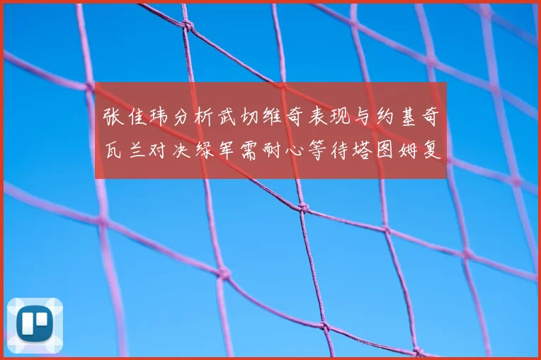 张佳玮分析武切维奇表现与约基奇瓦兰对决绿军需耐心等待塔图姆复出