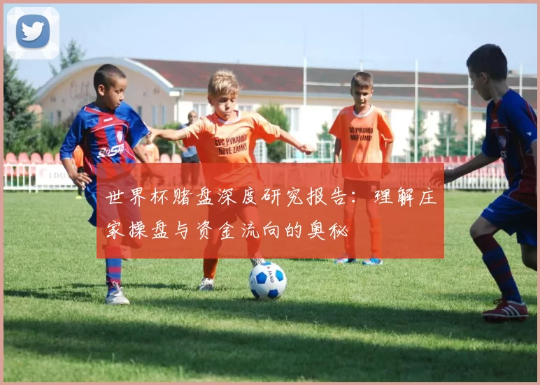 世界杯赌盘深度研究报告:理解庄家操盘与资金流向的奥秘