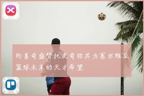 约基奇盛赞托皮奇称其为塞尔维亚篮球未来的天才希望