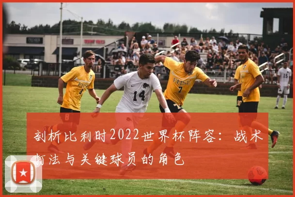 剖析比利时2022世界杯阵容:战术打法与关键球员的角色