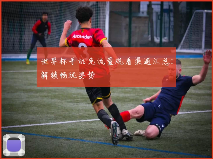 世界杯手机免流量观看渠道汇总:解锁畅玩姿势