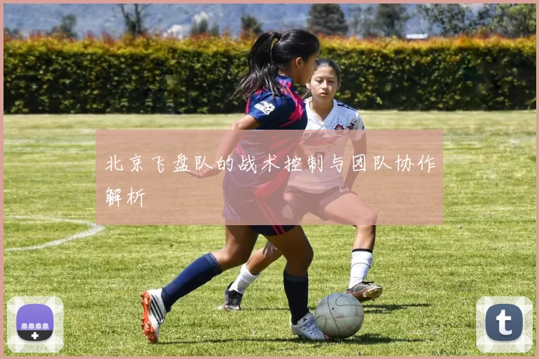 北京飞盘队的战术控制与团队协作解析