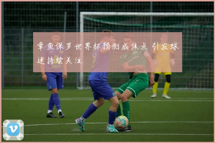 章鱼保罗世界杯预测成焦点 引发球迷持续关注