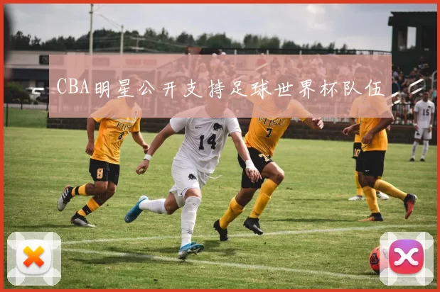 CBA明星公开支持足球世界杯队伍