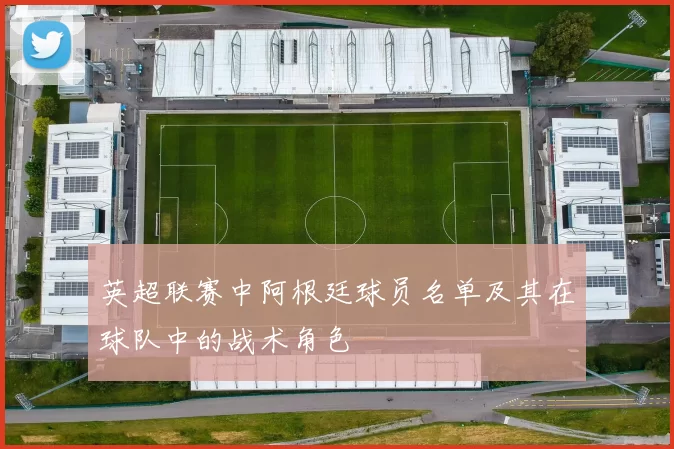 英超联赛中阿根廷球员名单及其在球队中的战术角色