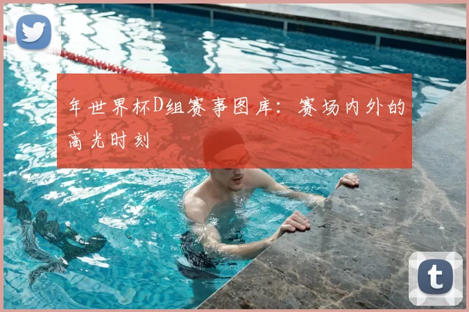 年世界杯D组赛事图库：赛场内外的高光时刻
