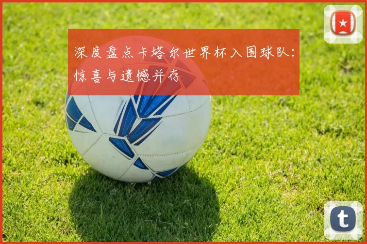 深度盘点卡塔尔世界杯入围球队:惊喜与遗憾并存