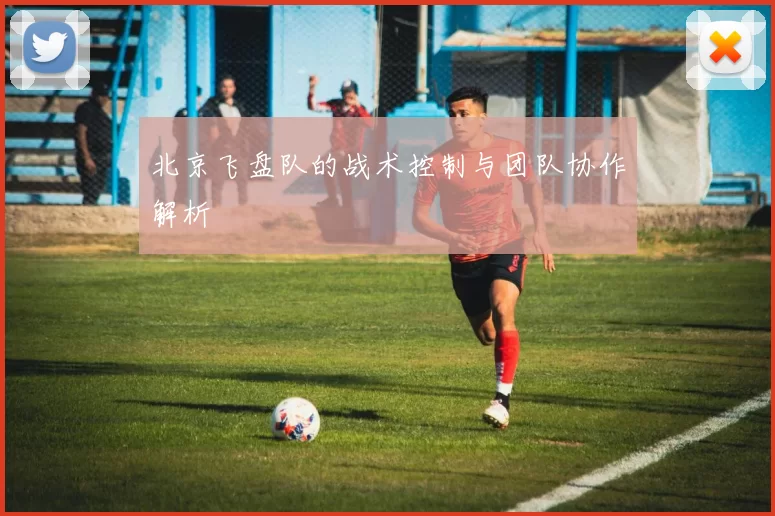 北京飞盘队的战术控制与团队协作解析