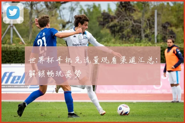 世界杯手机免流量观看渠道汇总:解锁畅玩姿势