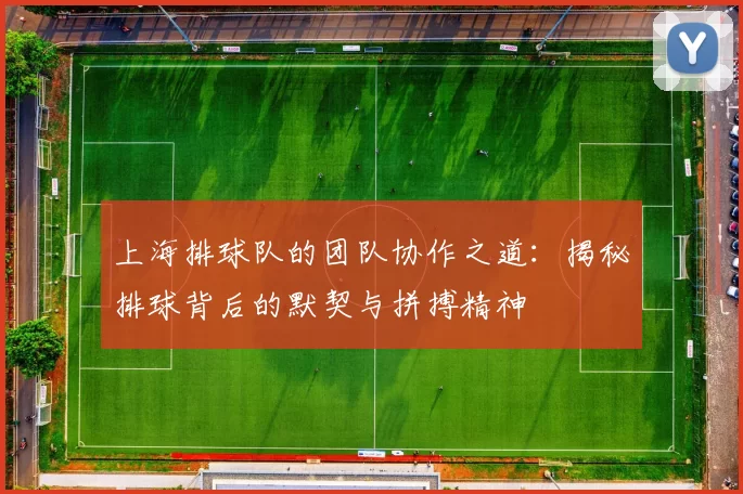 上海排球队的团队协作之道:揭秘排球背后的默契与拼搏精神
